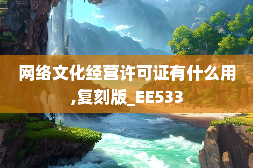 网络文化经营许可证有什么用,复刻版_EE533