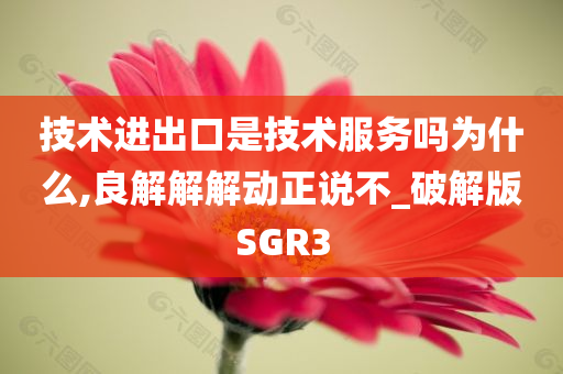 技术进出口是技术服务吗为什么,良解解解动正说不_破解版SGR3