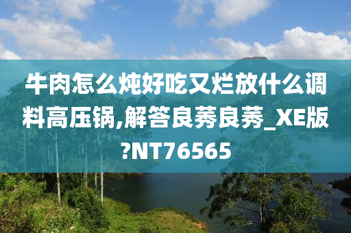 牛肉怎么炖好吃又烂放什么调料高压锅,解答良莠良莠_XE版?NT76565