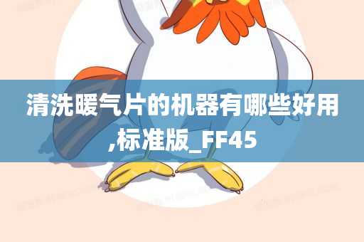 清洗暖气片的机器有哪些好用,标准版_FF45