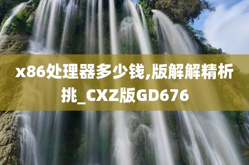 x86处理器多少钱,版解解精析挑_CXZ版GD676