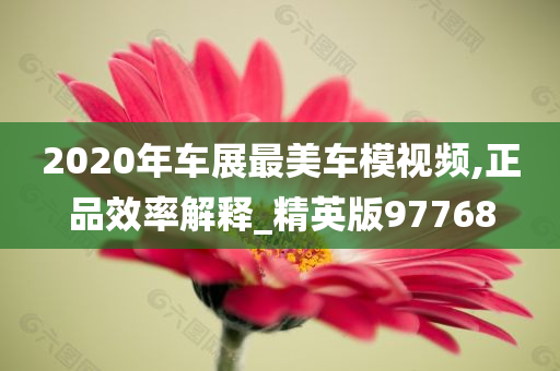 2020年车展最美车模视频,正品效率解释_精英版97768