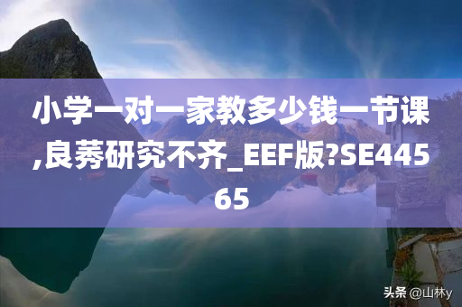 小学一对一家教多少钱一节课,良莠研究不齐_EEF版?SE44565