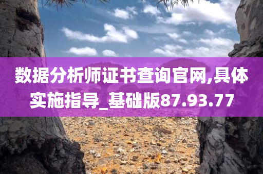 数据分析师证书查询官网,具体实施指导_基础版87.93.77