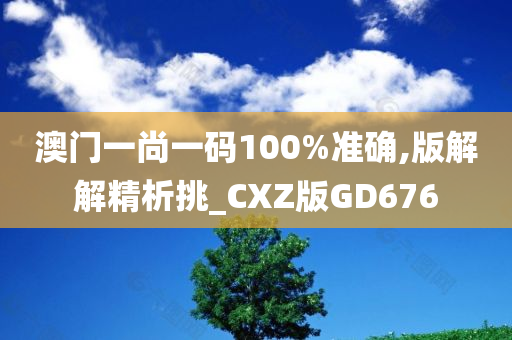 澳门一尚一码100%准确,版解解精析挑_CXZ版GD676