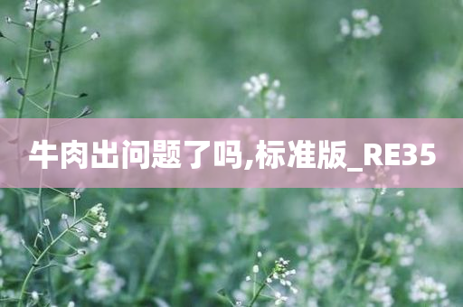 牛肉出问题了吗,标准版_RE35