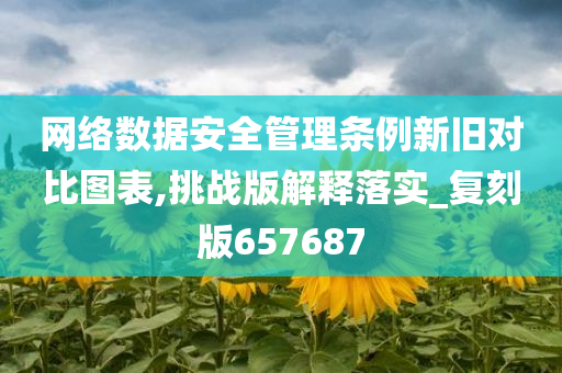 网络数据安全管理条例新旧对比图表,挑战版解释落实_复刻版657687