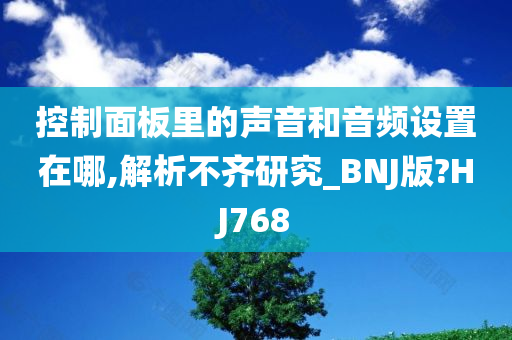 控制面板里的声音和音频设置在哪,解析不齐研究_BNJ版?HJ768