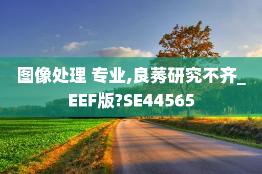 图像处理 专业,良莠研究不齐_EEF版?SE44565