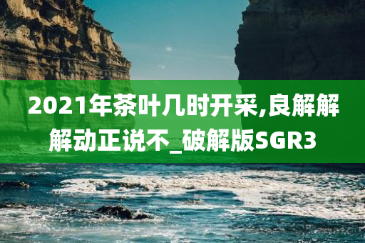 2021年茶叶几时开采,良解解解动正说不_破解版SGR3