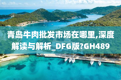 青岛牛肉批发市场在哪里,深度解读与解析_DFG版?GH489