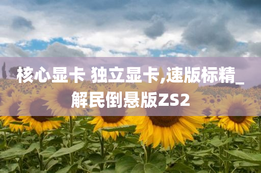 核心显卡 独立显卡,速版标精_解民倒悬版ZS2