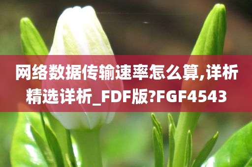 网络数据传输速率怎么算,详析精选详析_FDF版?FGF4543