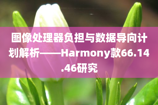 图像处理器负担与数据导向计划解析——Harmony款66.14.46研究