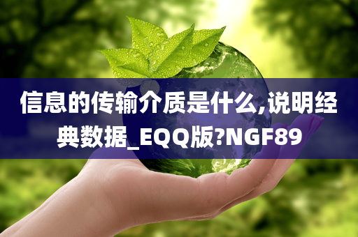 信息的传输介质是什么,说明经典数据_EQQ版?NGF89