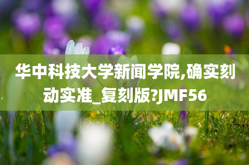 华中科技大学新闻学院,确实刻动实准_复刻版?JMF56