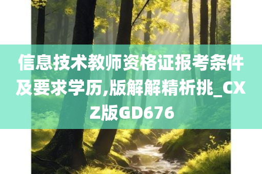 信息技术教师资格证报考条件及要求学历,版解解精析挑_CXZ版GD676