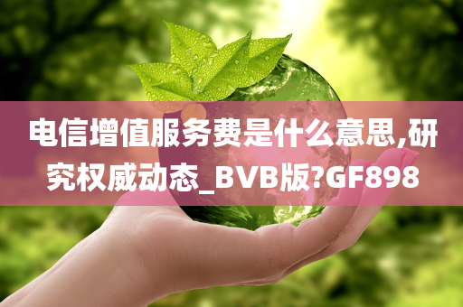 电信增值服务费是什么意思,研究权威动态_BVB版?GF898