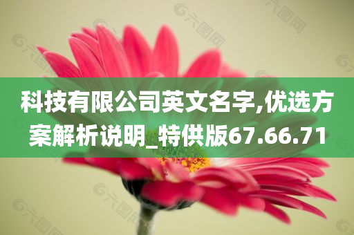 科技有限公司英文名字,优选方案解析说明_特供版67.66.71