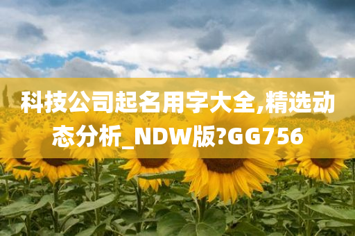 科技公司起名用字大全,精选动态分析_NDW版?GG756