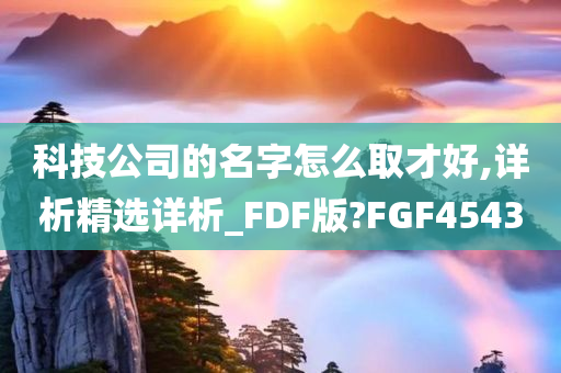 科技公司的名字怎么取才好,详析精选详析_FDF版?FGF4543