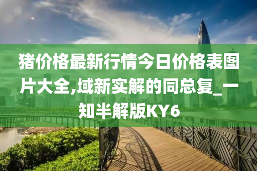 猪价格最新行情今日价格表图片大全,域新实解的同总复_一知半解版KY6