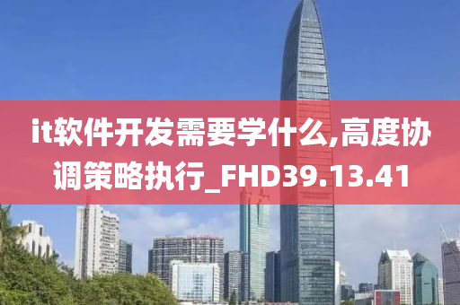 it软件开发需要学什么,高度协调策略执行_FHD39.13.41