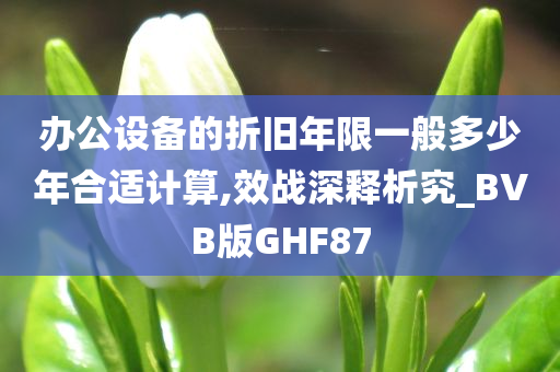 办公设备的折旧年限一般多少年合适计算,效战深释析究_BVB版GHF87