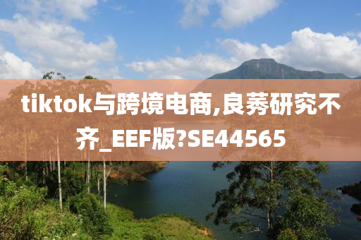 tiktok与跨境电商,良莠研究不齐_EEF版?SE44565