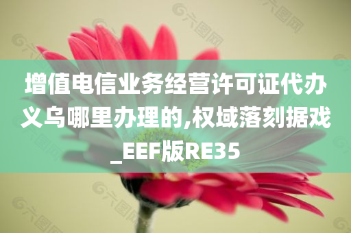 增值电信业务经营许可证代办义乌哪里办理的,权域落刻据戏_EEF版RE35