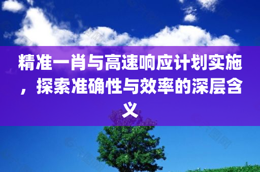 精准一肖与高速响应计划实施，探索准确性与效率的深层含义