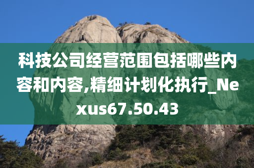 科技公司经营范围包括哪些内容和内容,精细计划化执行_Nexus67.50.43