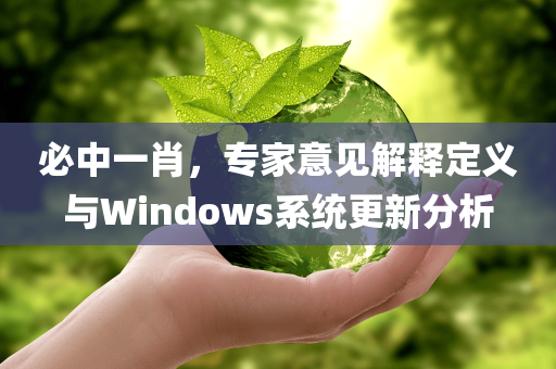 必中一肖，专家意见解释定义与Windows系统更新分析