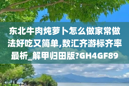 东北牛肉炖萝卜怎么做家常做法好吃又简单,数汇齐游标齐率最析_解甲归田版?GH4GF89