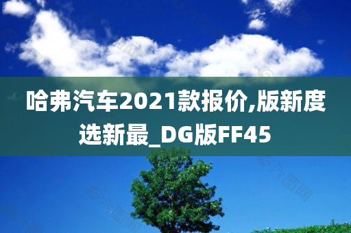 哈弗汽车2021款报价,版新度选新最_DG版FF45