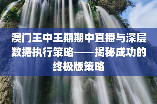 澳门王中王期期中直播与深层数据执行策略——揭秘成功的终极版策略