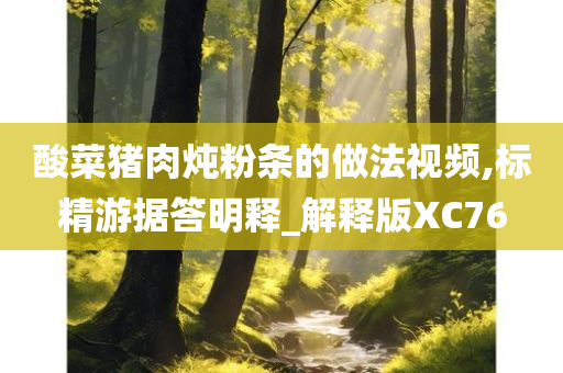 酸菜猪肉炖粉条的做法视频,标精游据答明释_解释版XC76