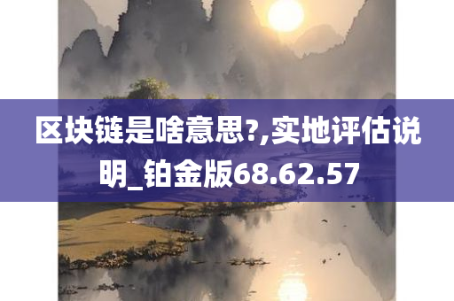 区块链是啥意思?,实地评估说明_铂金版68.62.57