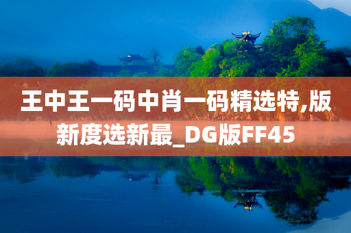 王中王一码中肖一码精选特,版新度选新最_DG版FF45