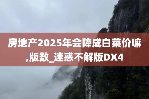 房地产2025年会降成白菜价嘛,版数_迷惑不解版DX4