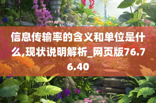 信息传输率的含义和单位是什么,现状说明解析_网页版76.76.40