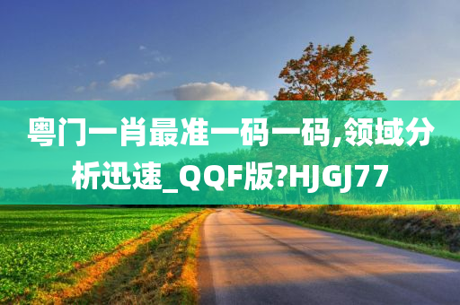 粤门一肖最准一码一码,领域分析迅速_QQF版?HJGJ77