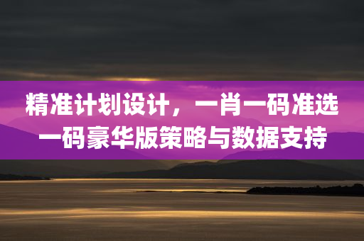 精准计划设计，一肖一码准选一码豪华版策略与数据支持