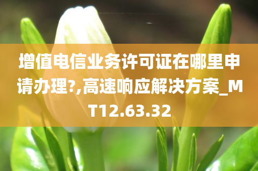 增值电信业务许可证在哪里申请办理?,高速响应解决方案_MT12.63.32