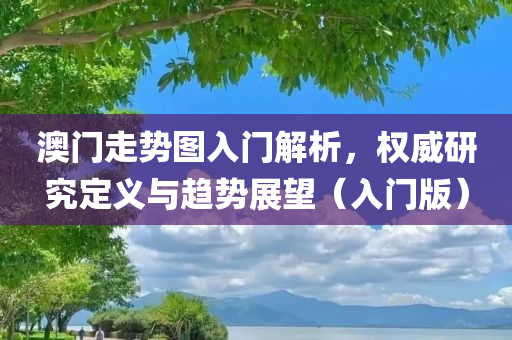 澳门走势图入门解析，权威研究定义与趋势展望（入门版）