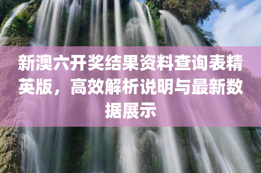 新澳六开奖结果资料查询表精英版，高效解析说明与最新数据展示