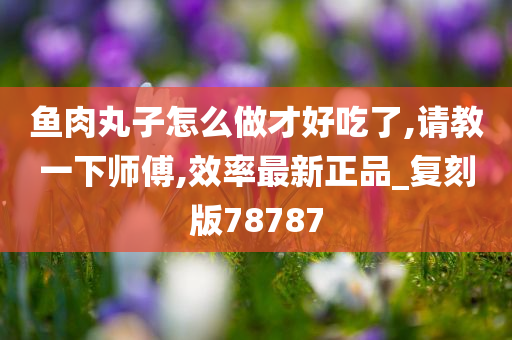 鱼肉丸子怎么做才好吃了,请教一下师傅,效率最新正品_复刻版78787