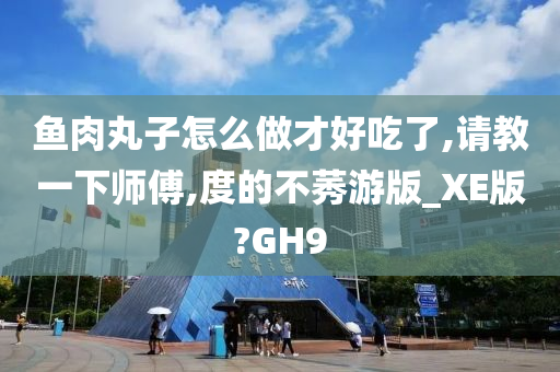 鱼肉丸子怎么做才好吃了,请教一下师傅,度的不莠游版_XE版?GH9