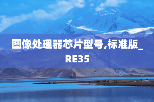 图像处理器芯片型号,标准版_RE35