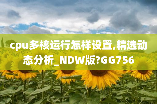 cpu多核运行怎样设置,精选动态分析_NDW版?GG756